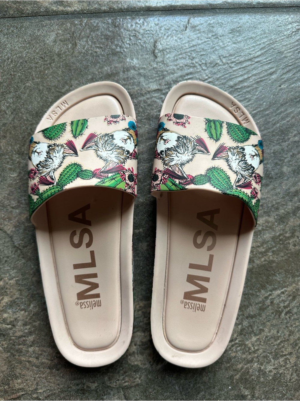 Melissa Pink Slide Sandals with Llama/Floral & Cactus Print